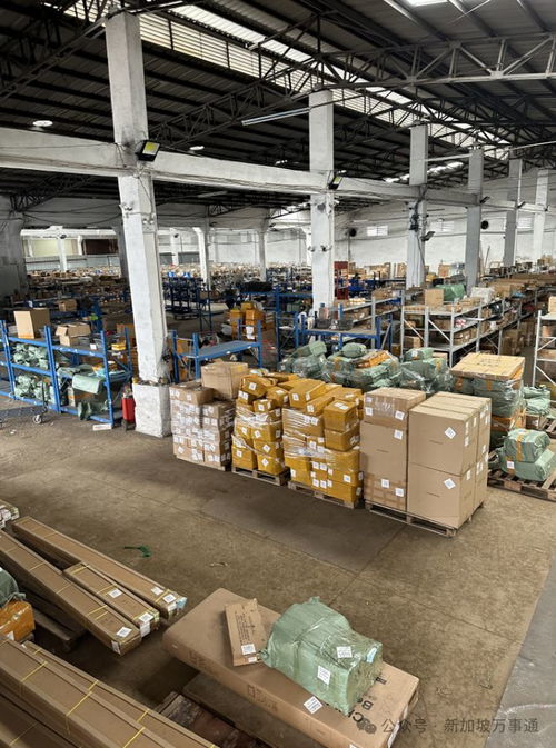 一站式物流解決方案 中國(guó)至新加坡低價(jià)海運(yùn)、空運(yùn)及貨物倉(cāng)儲(chǔ)服務(wù)